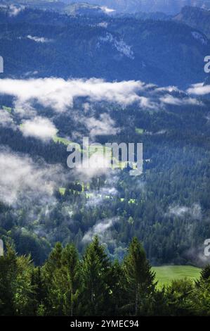 Nebbia nella valle, Alpi Allgaeu sullo sfondo, Sibratsgfaell, Austria, Europa Foto Stock