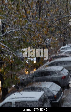 Momento di tempesta con vento forte, forte nevicata e foglie ancora intatte sugli alberi in una strada con auto parcheggiate, Sofia, Bulgaria Foto Stock