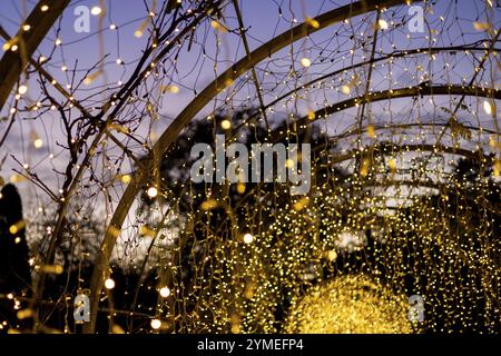 Wisley, Woking, Surrey, Regno Unito, 19 novembre : Christmas Glow 2022 at RHS Garden Wisley, Woking, Surrey, Inghilterra, Regno Unito il 19 novembre 2022 Foto Stock