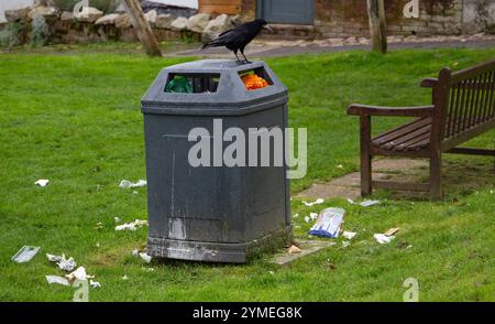 Un corvo nero appollaiato su un cestino della spazzatura in un parco circondato da rifiuti e una panchina di legno sullo sfondo Foto Stock