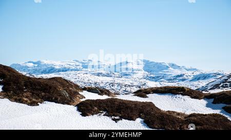 Paesaggi dei fiordi durante l'escursione al punto panoramico di Hananipa, Norvegia. Tempo di primavera. Foto Stock