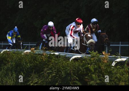 WROCLAW, POLONIA - 4 GIUGNO 2023: Ippodromo WTWK Partynice. Gara internazionale per cavalli di quattro anni e più grandi. Guida Jockey Anton Turgaev un cavallo ma Foto Stock