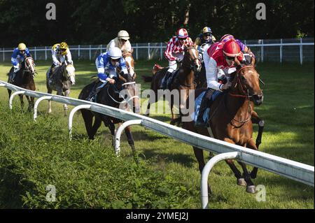 WROCLAW, POLONIA - 4 GIUGNO 2023: Gara internazionale per tre anni del gruppo cavalli III al Racecourse WTWK Partynice. Foto Stock