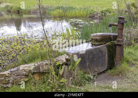 Canale d'acqua e rubinetto arrugginito vicino a uno stagno nell'East Sussex Foto Stock