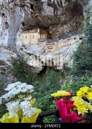 Santuario della grotta Santa di Covadonga costruito nella roccia con fiori ornamentali in primo piano, Asturie, Spagna Foto Stock