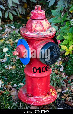 Idrante antincendio su Victoria Avenue a Niagara Falls, Ontario, Canada Foto Stock