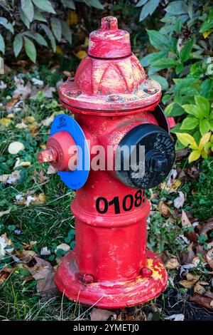 Idrante antincendio su Victoria Avenue a Niagara Falls, Ontario, Canada Foto Stock