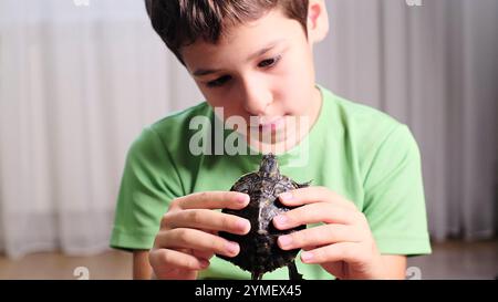 Un ragazzo tiene con cura una piccola tartaruga nelle mani, concentrandosi sulla delicata creatura. Questo momento cattura la tenerezza di un bambino Foto Stock