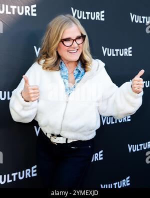 Hollywood, Stati Uniti. 15 novembre 2024. Il Vulture Festival è una celebrazione della cultura pop che celebra la TV, i film e tutto il divertimento che riunisce pannelli di persona con alcune delle tue star preferite. Hollywood, CALIFORNIA, USA, il 15 novembre 2024. (Foto di Alexander G. Seyum/Pacific Press/Sipa USA) credito: SIPA USA/Alamy Live News Foto Stock