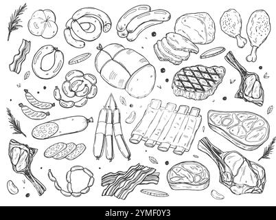 Raccolta di carni fresche grezze, disegno vettoriale. Elementi di design isolati per alimenti disegnati a mano. Pezzi di bistecca di manzo, prosciutto, filetto di maiale, costolette di agnello. Illustrazione Vettoriale