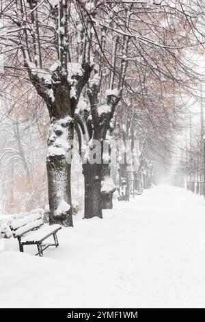 Grandi alberi nel centro di riga parco coperto di neve, Lettonia. Bellissimo natale, destinazioni turistiche alla moda, vacanze, vacanze. Foto Stock