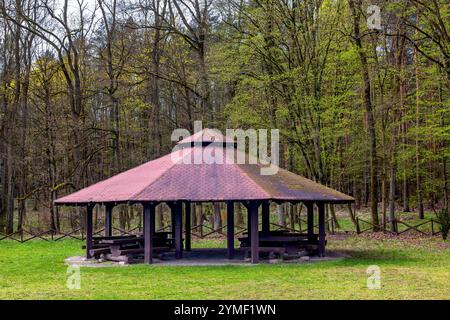 Gazebo in legno per rilassarsi e barbecue sullo sfondo della foresta. Area ricreativa nella foresta primaverile. Foto Stock