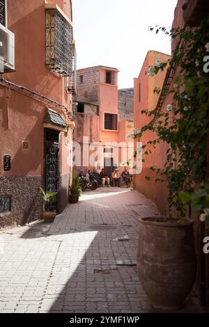 Tranquilla strada stretta nella medina di Marrakech con pareti in terracotta, piante in vaso e uomini locali seduti insieme al sole. Foto Stock
