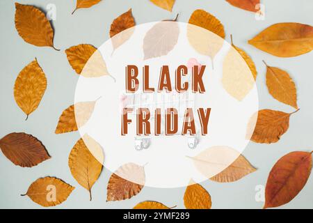 Cartello del Black friday con sopra un carrello. Il carrello è circondato da foglie sparse su tutta l'immagine Foto Stock