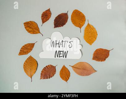 Nuvola bianca con la parola What's New scritta in nero. La nuvola è circondata da foglie di varie dimensioni e colori Foto Stock