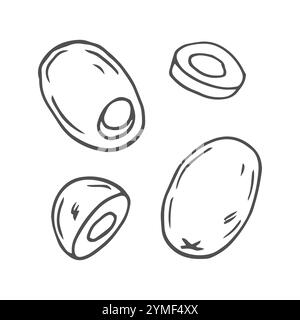Set di schizzi vettoriali disegnati a mano Olive in stile doodle isolato su sfondo bianco. Set artistico di ramoscello Olive line, bottiglia di olio in vetro, olive su bastoncino. Illustrazione Vettoriale