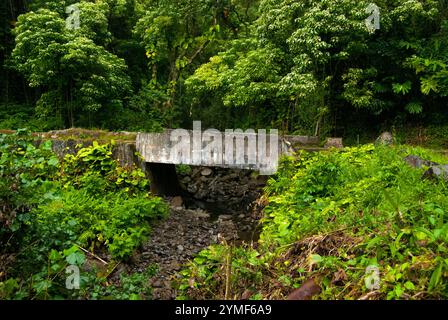 Ponte di pietra sulla strada per Hana, Maui, Hawaii Foto Stock