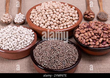 Legumi secchi in varie ciotole di argilla e cucchiai di legno. Foto Stock