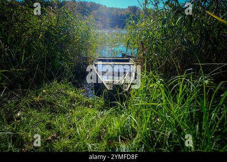 Una vecchia barca di legno parzialmente sommersa e ricoperta di canne alte, seduta tranquillamente sul bordo di un tranquillo lago. Foto Stock