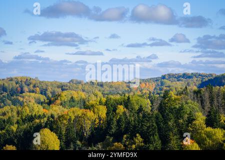 Una colorata foresta autunnale si estende attraverso le colline ondulate, mostrando un fogliame vibrante in sfumature di verde, giallo e arancione sotto un cielo nuvoloso. Foto Stock