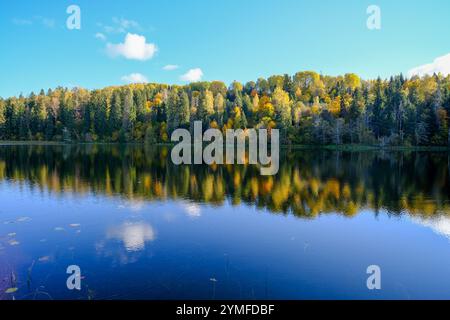 Un lago tranquillo che riflette perfettamente la colorata foresta autunnale e un cielo azzurro con nuvole bianche sparse sopra. Foto Stock