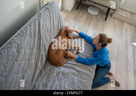 Rilassata interazione tra donna e cane sonnolento, accarezzare sdraiato sul divano vizsla, terapia per animali senza stress. Foto Stock