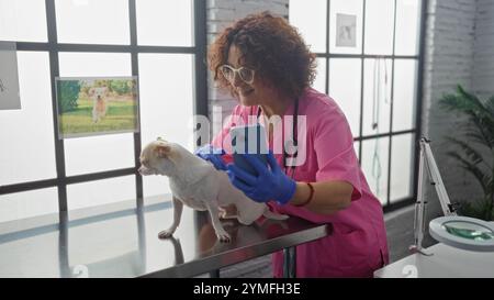 Una donna caucasica di mezza età si fa un selfie con un chihuahua in una clinica veterinaria, entrambi sembrano rilassati in un ambiente interno. Foto Stock