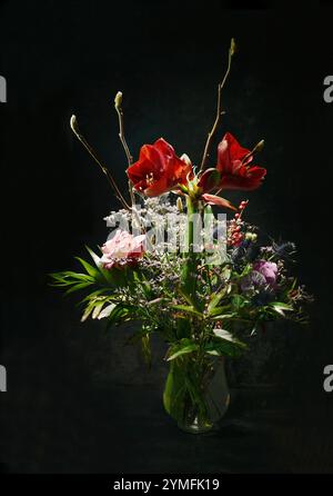 Bouquet natalizio con amaryllis, rose e gypsophila, più alcuni ramoscelli decorativi in un vaso su uno sfondo molto scuro, regalo natalizio invernale nel Foto Stock