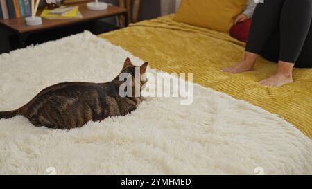 Scena interna di una donna e un gatto marrone su un comodo letto in una casa accogliente, che mostra relax e vita domestica con libri sullo sfondo. Foto Stock