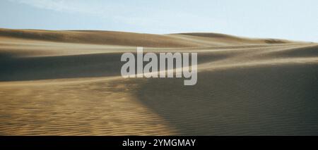 Ampie dune di sabbia situate in un'arida regione desertica, raffigurate con un bellissimo cielo blu limpido che funge da sfondo Foto Stock