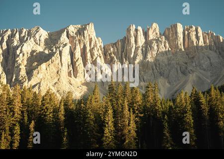 Una bella montagna interamente ricoperta di neve fresca e bianca, caratterizzata da alti alberi situati in primo piano Foto Stock