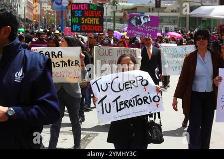 La Paz, Bolivia, 1 settembre 2014. Una giovane donna porta con sé uno striscione che dice "il tuo corpo il tuo territorio” durante una marcia per protestare contro il machismo e la violenza contro le donne, e per respingere le recenti dichiarazioni fatte da diversi candidati durante l'attuale campagna elettorale che sembrano minimizzare il problema e discriminare le donne. Secondo un rapporto DELL'OMS nel gennaio 2013, la Bolivia è il paese con il più alto tasso di violenza contro le donne in America Latina, dal 2006 si sono verificati 453 casi di femminicidio durante l'attuale governo. Crediti: James Brunker / Alamy Live News Foto Stock