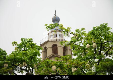 Torre ornata con una parte superiore sferica che sbircia tra gli alberi in una giornata nebbiosa Foto Stock