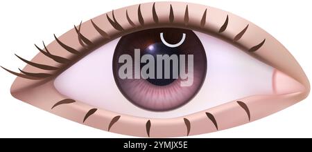 illustrazione dell'icona del vettore realistico 3d. Occhio umano con ciglia. Isolato su sfondo bianco. Illustrazione Vettoriale