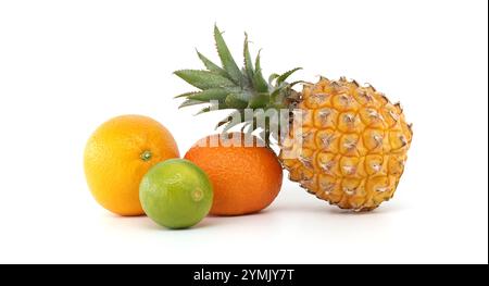 Un variopinto assortimento di frutti tropicali e agrumi, tra cui ananas, arancia, lime e mandarino su sfondo bianco. Perfetto per i concetti di fr Foto Stock