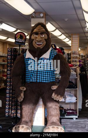 Sasquatch imbottito all'interno del negozio di articoli da regalo Blue Moose Trading Co. A Cliffton Hill, a Niagara Falls, Ontario, Canada Foto Stock