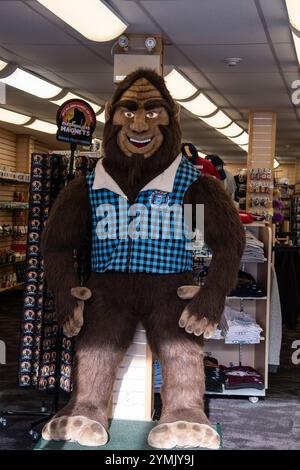 Sasquatch imbottito all'interno del negozio di articoli da regalo Blue Moose Trading Co. A Cliffton Hill, a Niagara Falls, Ontario, Canada Foto Stock