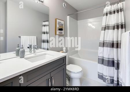 Bagno con WC bianco e lavandino grigio. Il bagno è accanto alla vasca da bagno Foto Stock