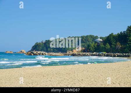 Contea di Yangyang, Corea del Sud - 3 novembre 2024: La tranquilla costa di Hajodae Beach presenta la sua piattaforma di osservazione unica annidata tra pini, Foto Stock