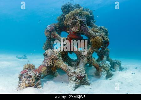 La più grande barriera corallina artificiale stampata in 3D del mondo nelle Maldive, l'atollo di North male, accanto all'isola estiva (Ziyaaraifushi). Foto Stock