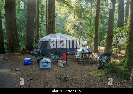 USA, Oregon, Oregon Coast, Jessie M. Honeyman Memorial State Park, campeggio 2024 Foto Stock