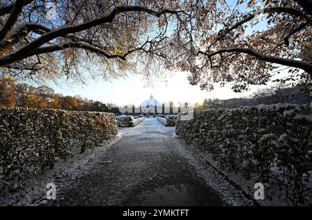 Monaco, Germania. 22 novembre 2024. Il sole del mattino splende tra gli alberi nel giardino coperto di neve. Crediti: Felix Hörhager/dpa/Alamy Live News Foto Stock