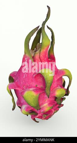 dragon fruit con sfondo bianco Foto Stock