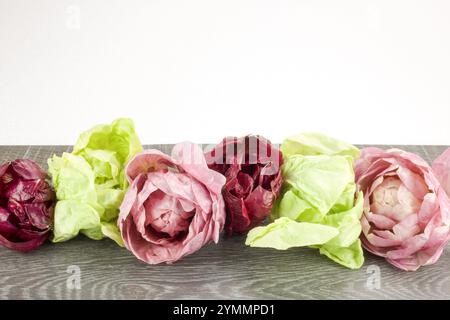 rosette di cicoria fresca in diversi colori su un tavolo di legno e sfondo bianco Foto Stock
