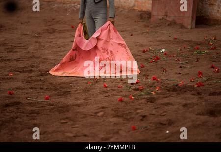 Un torero si trova tra le rose lanciate dai fan mentre aspetta che un toro si carichi durante una corrida a città del Messico. Foto Stock