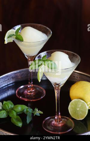 due sorbetti freschi al limone in bicchieri da cocktail aromatizzati con basilico di lime e menta su vassoio nero Foto Stock