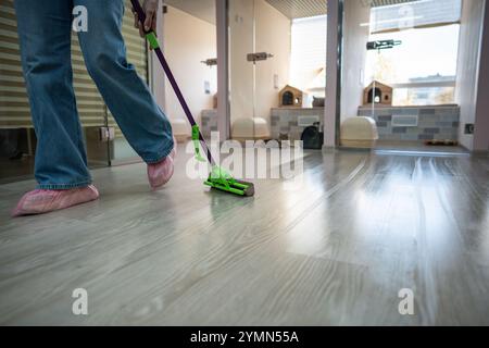Il personale pulisce il pavimento per garantire uno spazio igienico e confortevole per i gatti nell'hotel in cui sono ammessi gli animali domestici. Manutenzione e igienizzazione Foto Stock