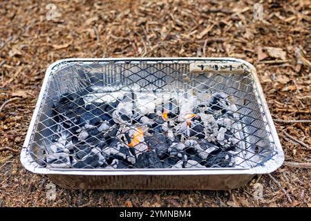Griglia a lamina monouso con carbone acceso. Foto di alta qualità Foto Stock