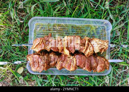 I pezzi di carne, spiedati, vengono preparati per la cottura alla griglia. Un vassoio con gamberetto si trova su erba verde. Foto Stock