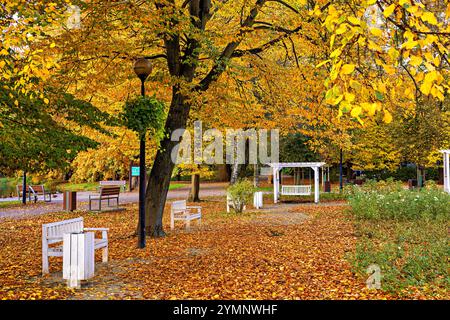 Parco autunnale con panchine bianche e altalene ricoperte di foglie gialle. Foto Stock